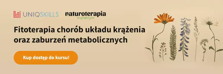 fitoterapia