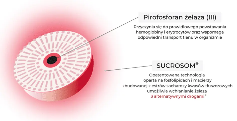 żelazo sukrosomalne